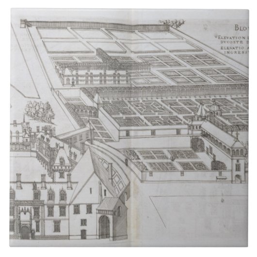 封じられた庭およびChateau de Gailloの計画 タイル (正面)