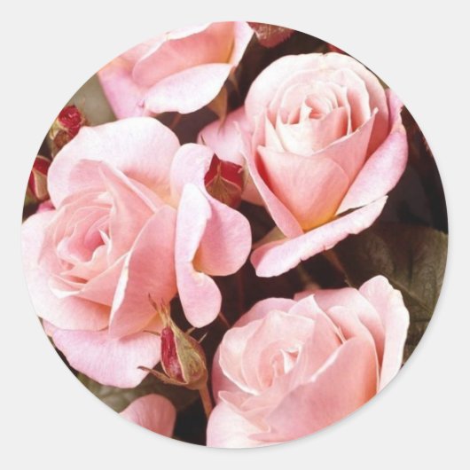 封印シール ラウンドシール (正面)