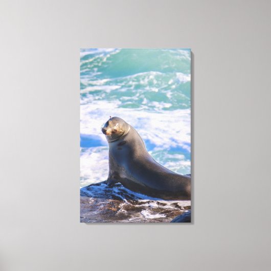 封印4 – 私を見ストップる必要がある！ キャンバスプリント (正面)