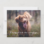 封筒おもしろいペットのクリスマスカードをクリック (正面)