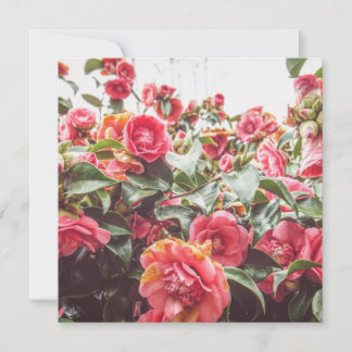 封筒が付いているサファイアの金ゴールド|の正方形の平らなカード