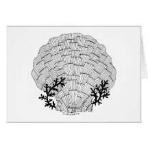 封筒が付いているListakoraの貝殻カード