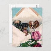 封筒に入れた犬 ポストカード (正面/裏面)