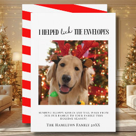 封筒をなめたのは僕だ 犬の写真 クリスマスカード 招待状