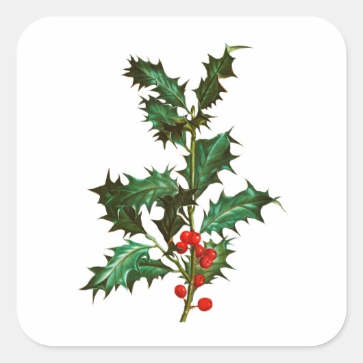 封筒用シールステッカー：ヴィンテージクリスマスホリー スクエアシール (正面)