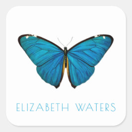 封筒用シールステッカー：青い蝶 スクエアシール