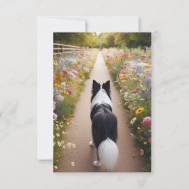 封筒縁ど付きCollie Flat Note Card ノートカード