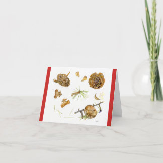 封筒4"が付いているCedrusのDeodaraの休日カードx 5" シーズンカード