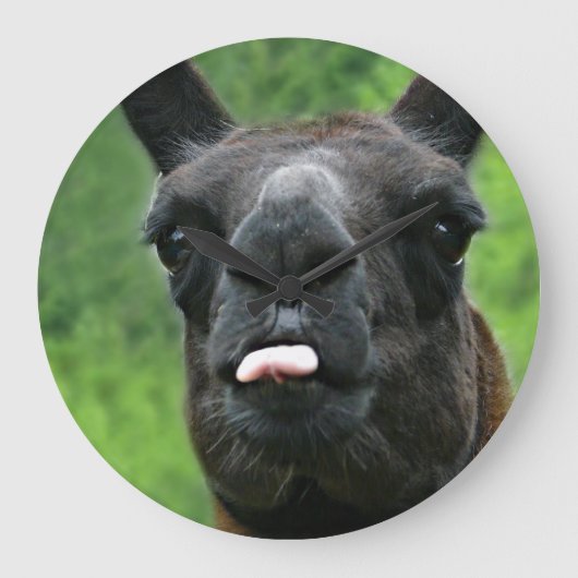 専攻のな態度及びピンクの舌を搭載するおもしろいなラマ ラージ壁時計 (正面)
