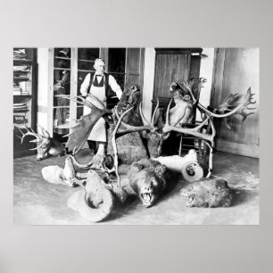 専門のTaxidermist: 1923年 ポスター