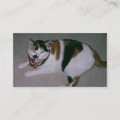 専門動物のグルーミングの名刺 名刺 (裏面)