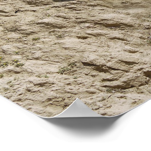 専門家が下がる ポスター (角)