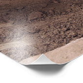 専門家が武器キャッシュを検索する フォトプリント            (角)