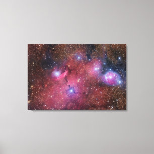 射手座のNGC 6559の星雲 キャンバスプリント