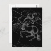 射手座コンステレーションクラスヘベリーウスエンヒュー ポストカード (正面/裏面)