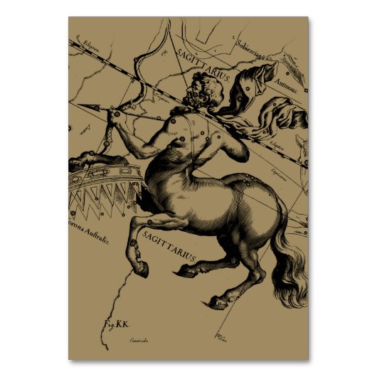 射手座コンステレーションヘベリアス1690版木、銅版、版画 テーブルナンバー (正面)