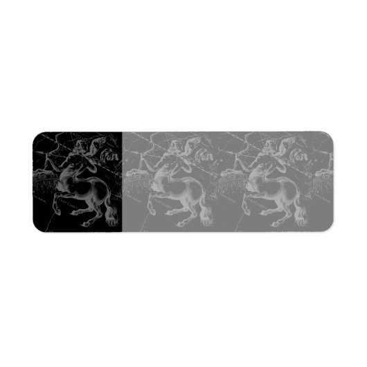 射手座星座ヘベリアス1690年頃 ラベル (正面)