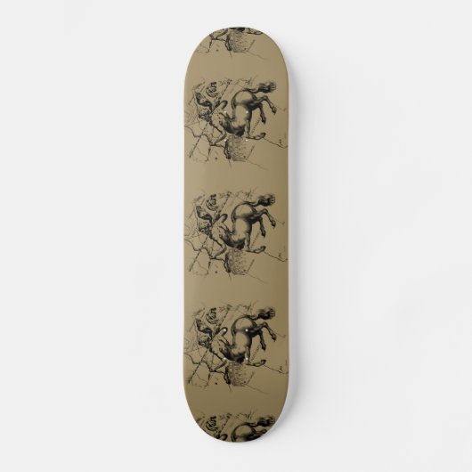 射手座星座ヘベリアス1690 スケートボード (正面)