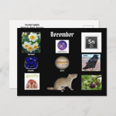 射手座 12月 誕生月 ポストカード (正面/裏面)