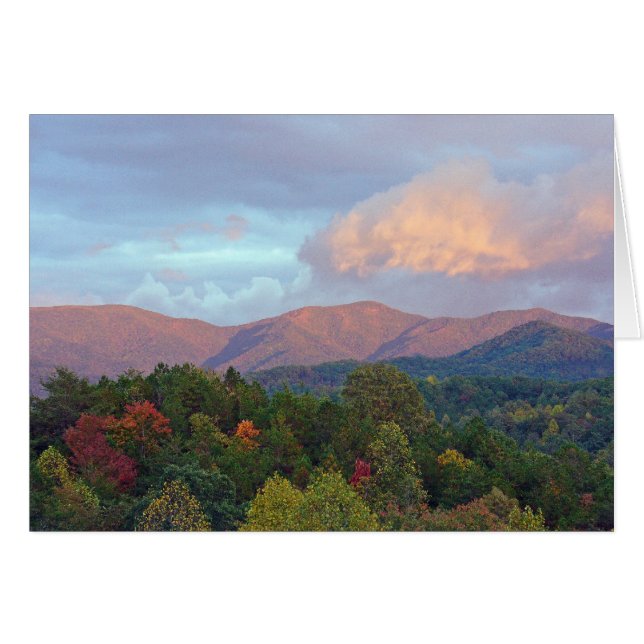 射撃、発砲の入り江 (正面横)