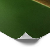 射撃、 発砲星ワイルドフラワー，カリフォルニア，アメリカ ポスター (角)