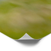 射撃、 発砲星 ポスター (角)