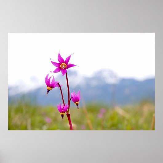 射撃、 発砲星 ポスター (正面)