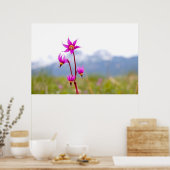 射撃、 発砲星 ポスター (キッチン)