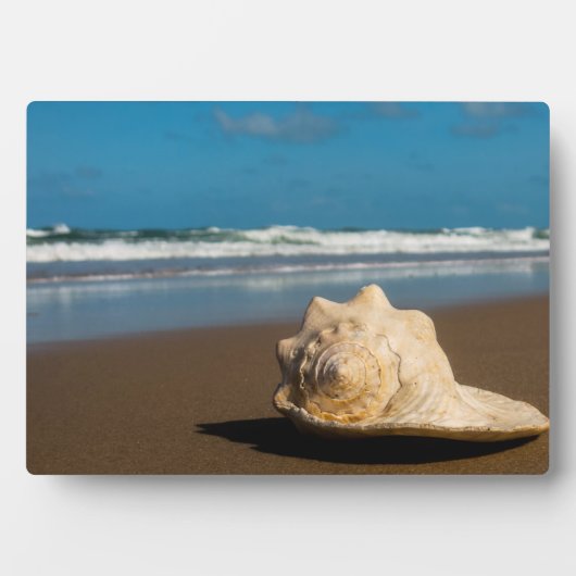 将来のビーチ フォトプラーク (正面)