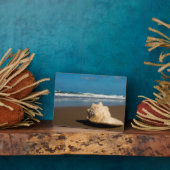 将来のビーチ フォトプラーク (側面)