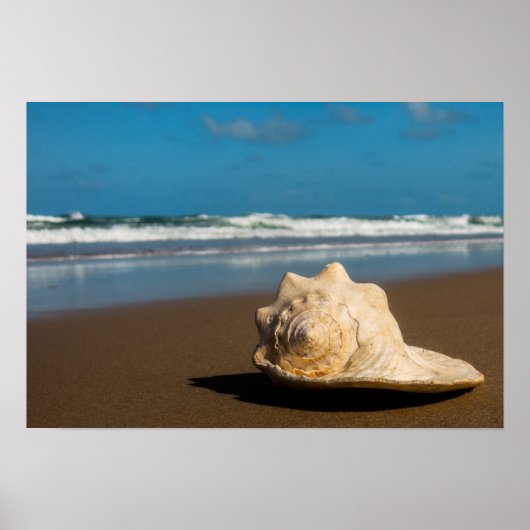 将来のビーチ ポスター (正面)