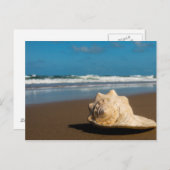 将来のビーチ ポストカード (正面/裏面)