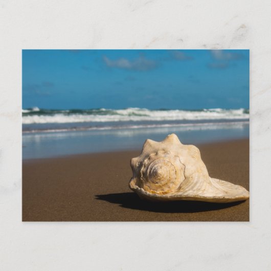 将来のビーチ ポストカード (正面)