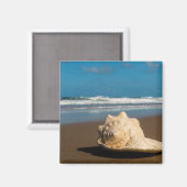 将来のビーチ マグネット (正面/裏面)