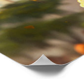 将来のフリスビー ポスター (角)