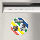 将来のルガー マグネット (インサイチュ (食洗機))