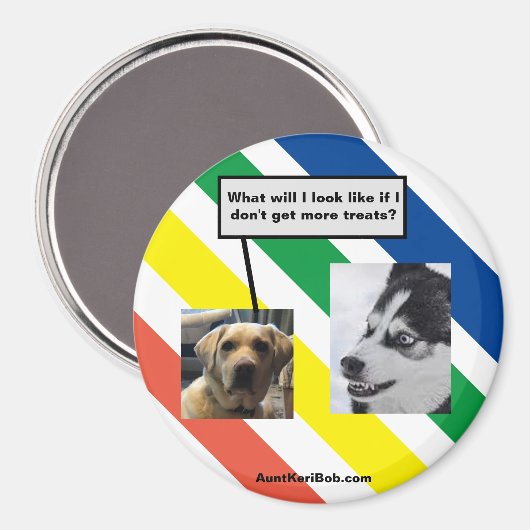 将来のルガー マグネット (正面/裏面)