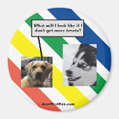 将来のルガー マグネット (正面)