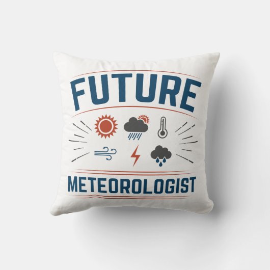 将来の気象学者 クッション (裏面)
