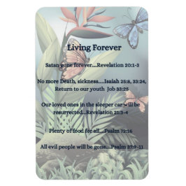 将来の約束 マグネット