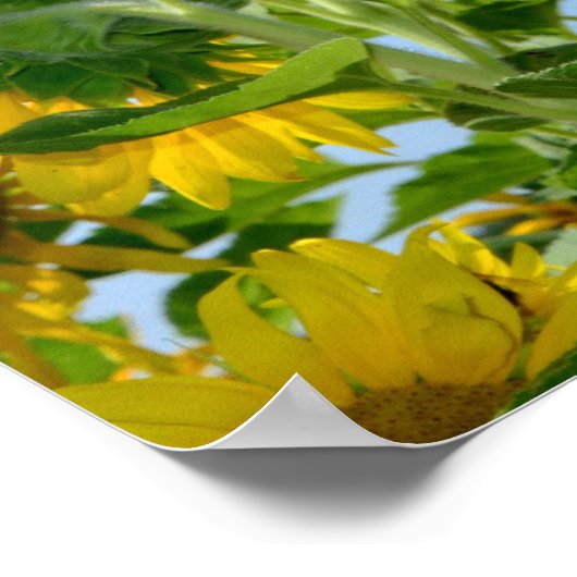 尊念丸免 ポスター (角)