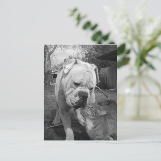 尊重 ポストカード (スタンド正面)