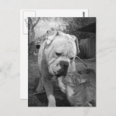 尊重 ポストカード (正面/裏面)