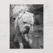 尊重 ポストカード (正面)