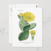 尋常性乳腺症 ポストカード (正面/裏面)