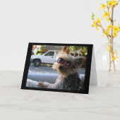 導入：ジャック！ カード (黄色い花)