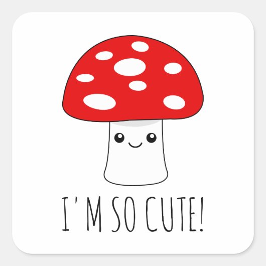 小おもしろいかわいい スクエアシール (正面)