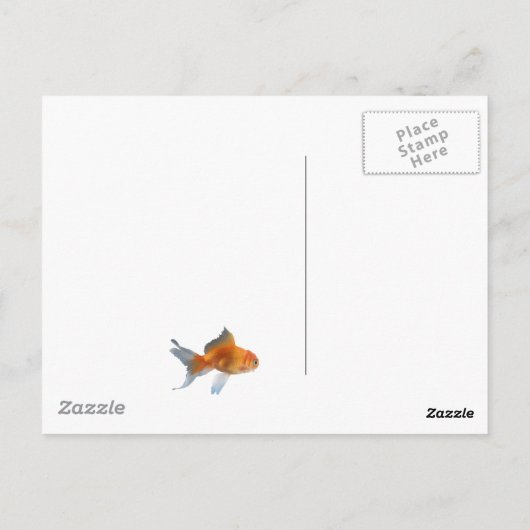 小おもしろいさな金魚の贈り物 ポストカード (裏面)