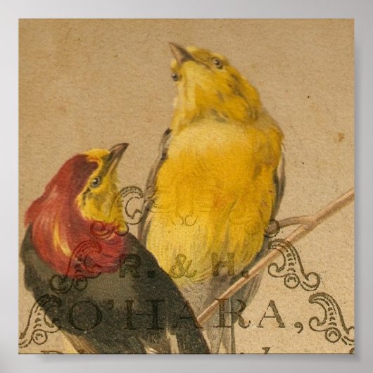 小かわいらしヴィンテージ鳥 ポスター (正面)