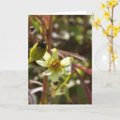 小かわいらし黄色の花 カード (黄色い花)